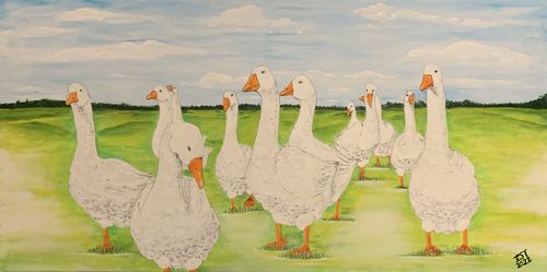 Gänse-Marsch (50x100)