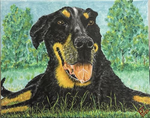 Fynn (40x50)